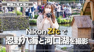 【忍野八海・河口湖畔】Nikon Zfcで宙に浮く魚を撮影!?