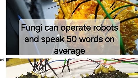 Fungi can operate robots and speak 50 words on average