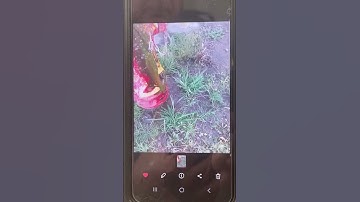 Using a gif as my video #newmusic