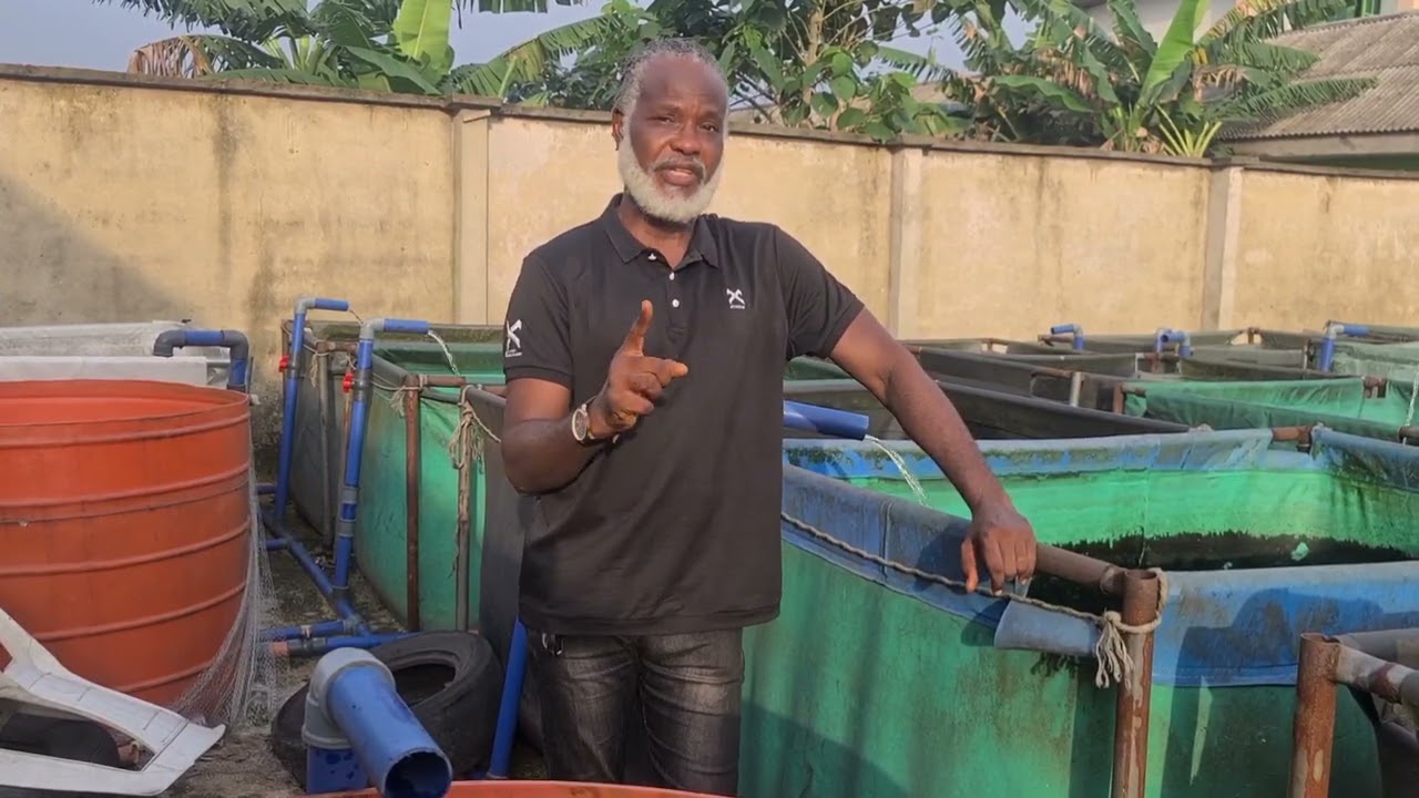 Easy but successful feeding method (1) YouTube