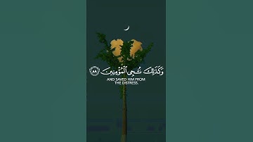 لا إله إلا أنت سبحانك إني كنت من الظالمين وديع اليمني حالات واتس اب دينية قصيرة قران كريم