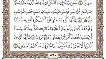 سورة التحريم من الآية 6 الى الآية 8