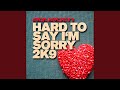 Miniature de la vidéo de la chanson Hard To Say I'm Sorry 2K9 (Dany Wild Club Remix)