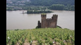 Visiting Leitz in Germany's Rheingau wine region