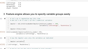 Arbitrary number imputation with Feature-engine