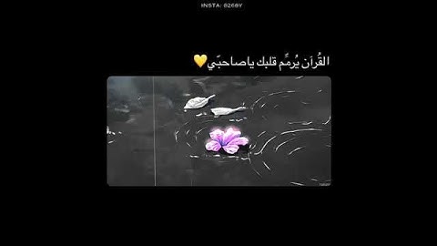 قرآن كريم بصوت القارئ: سالم الرويلي || أجمل حالات واتس اب دينيه || تلاوة خاشعة 🌿