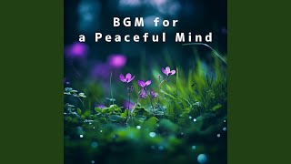 Tranquil Thoughts Flow