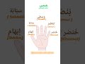  5        طيور الجنة  طيور بيبي