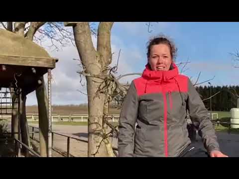 Online bijeenkomst voor sportverenigingen in Borger-Odoorn