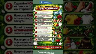 💊⚠️ Что важно знать об аспирине #вред #рецепты #здоровыйдух #рецепт #бадыдляздоровья #артрит #яйца