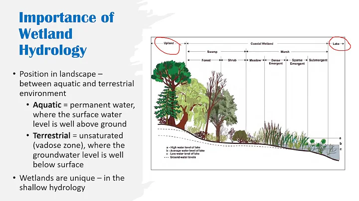 Kristen Deason Hydrology EPA Module Presentation