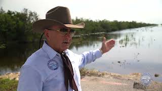 Alligator Ron Bergeron on Completion of the Old Tamiami Trail Roadbed Removal Completion
