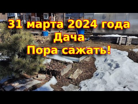 31 марта 2024 года. Дача, первые посадки и работы на участке