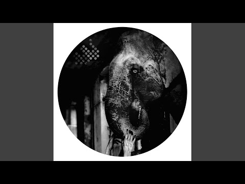 Michael Random — Showdown in Kiev