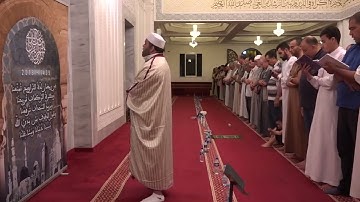 سورة يس برواية سيدي قالون القارئ بلال بن محمود حفظه ربي
