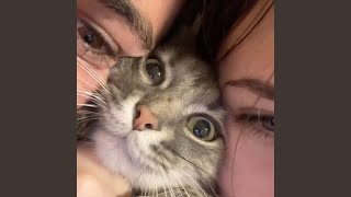 Passionfruit - Luke Muzzic