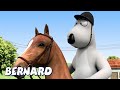 Bernard Bear - Dressage - Episode 133 | Funny Cartoons for Kids | Super Toons Kids TV