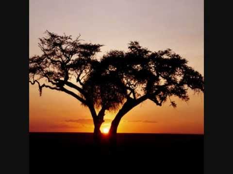 R-Base & Cacani - Afrika (Radio Edit)
