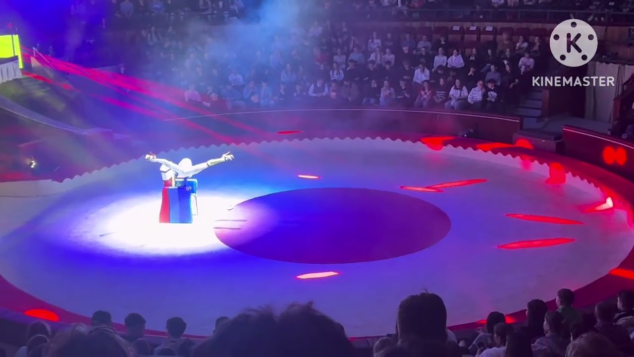 Me in the circus 🎪