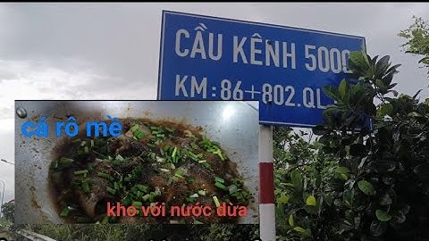 Tập 026 tiếp tục câu cá kênh 5000 gặp ổ cá rô hu gô bự 