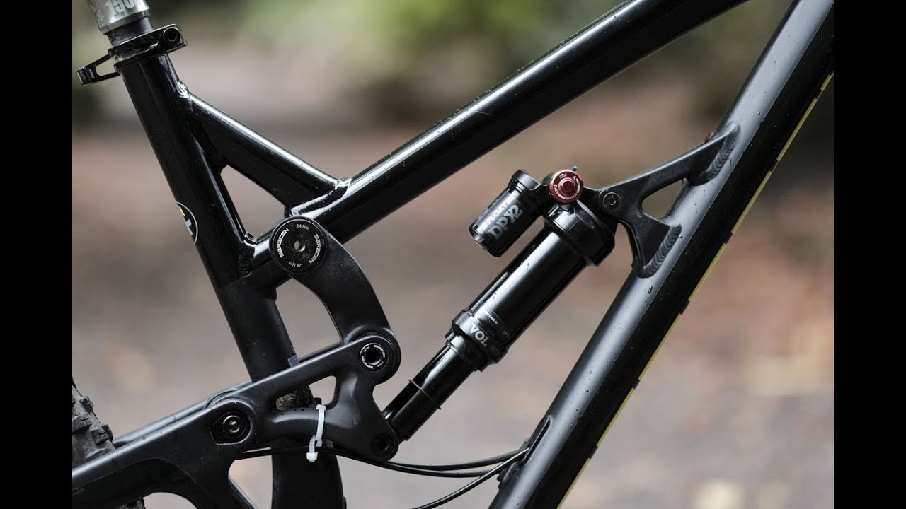 saracen ariel elite
