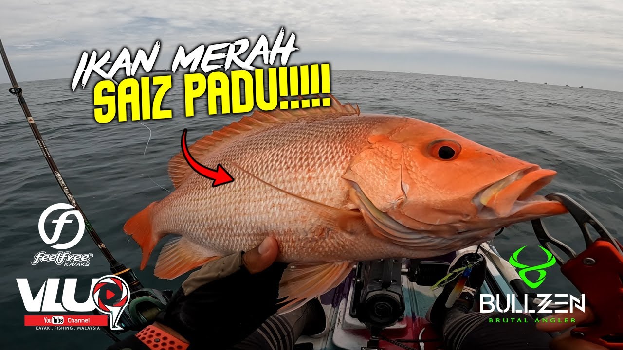 Ikan MERAH saiz PALING PADU!! Trip GILA bersama @nadiFISHHUNTER  - #VLUQ490 - Kayak Fishing Malaysia