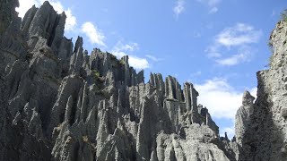 Neuseeland Nordinsel Top Sehenswürdigkeiten