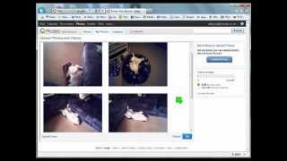 How to upload photos to Picasa Web Album - Video guide