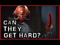 Are Space Marines Castrated? | Warhammer 40k Lore