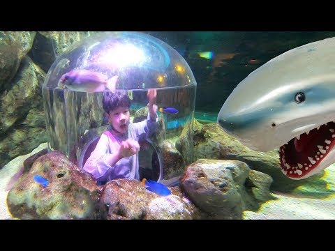 <strong>Sea</strong> Life Bangkok Ocean World <strong>NY</strong> Toys
