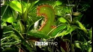 Bbc Two Idents 2 1991 - 2001 37