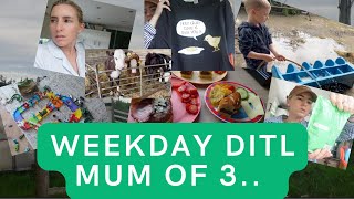 WEEKDAY DITL MUM OF 3 | BDAY PREP \u0026 FEEDING NEW BABIES