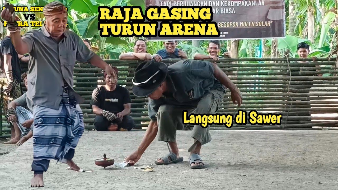 GASING KAYU LOMBOK || TURUNNYA SANG RAJA GASING|| ARJUNA 40 VS PUTRA TELUK