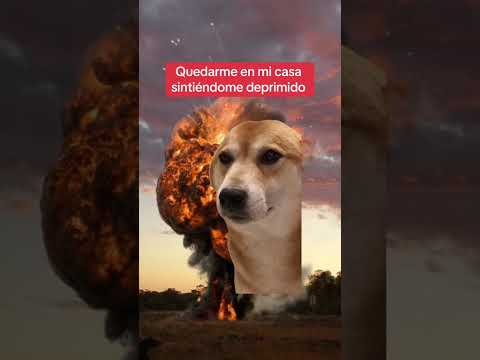 Sal de tu casa la ansiedad bajará ☺️ #psicologa #humor #saludmental #ansiedad #depresion