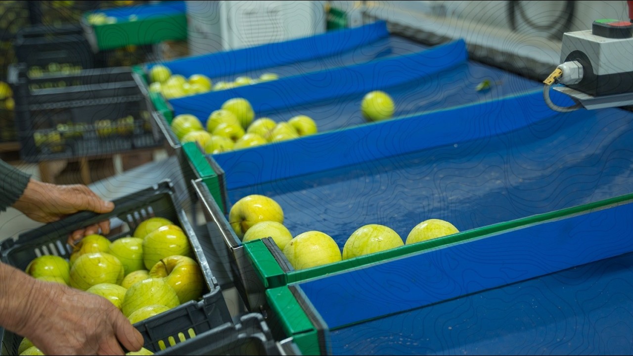 José Costa x ADER-SOUSA | Testemunho