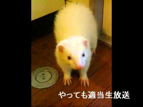 やってもの適当生放送アーカイブ動画　その６