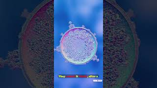 "Everyone Said It Was Japanese Encephalitis. One Scientist Disagreed."