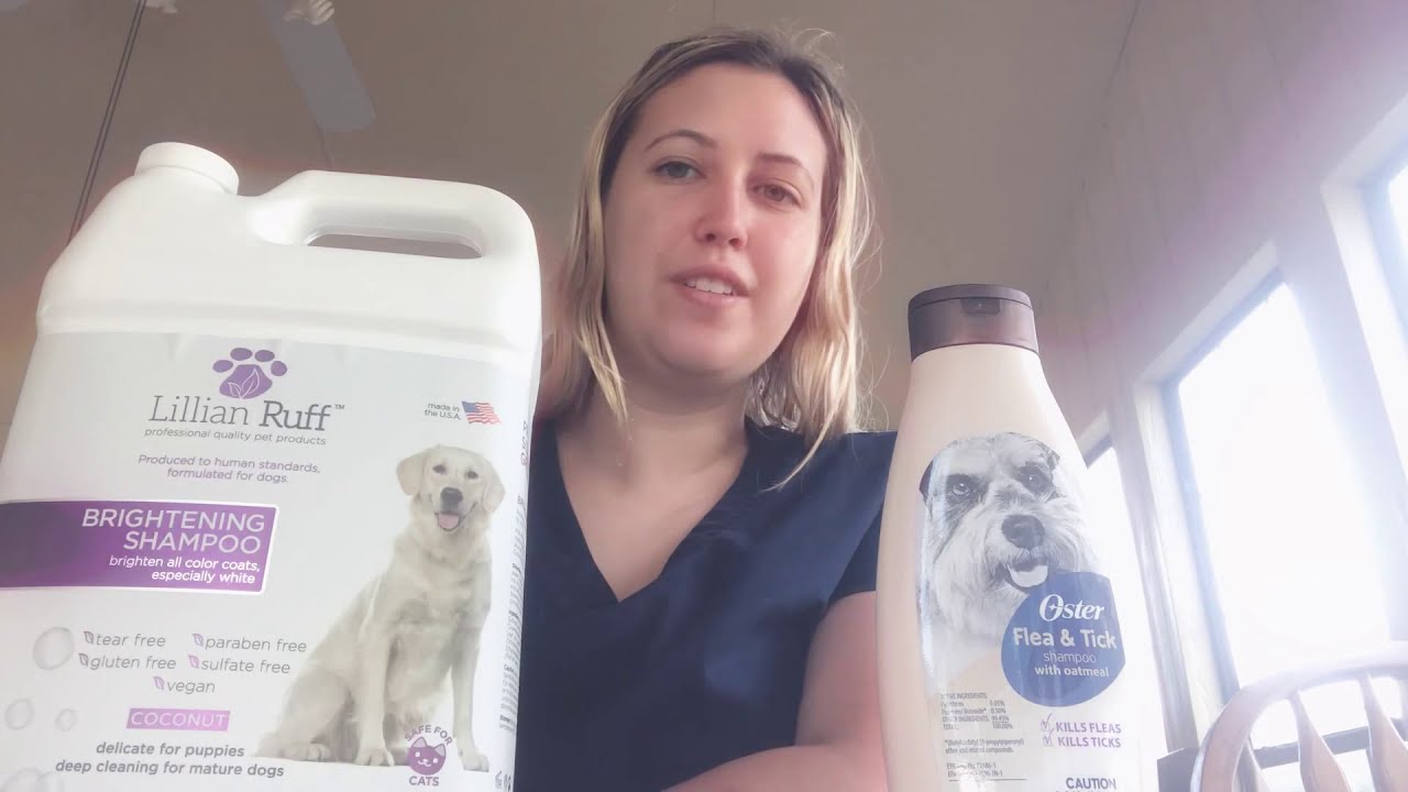 oster oatmeal conditioner