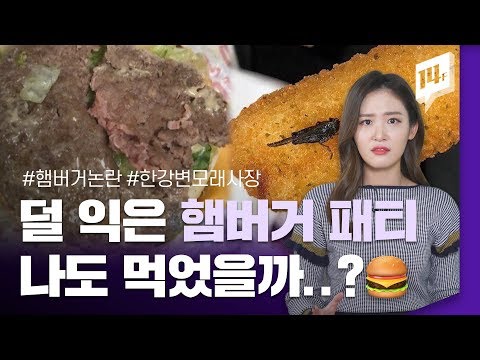 햄버거 매장의 위생 논란 충격적인 사진들 14F 