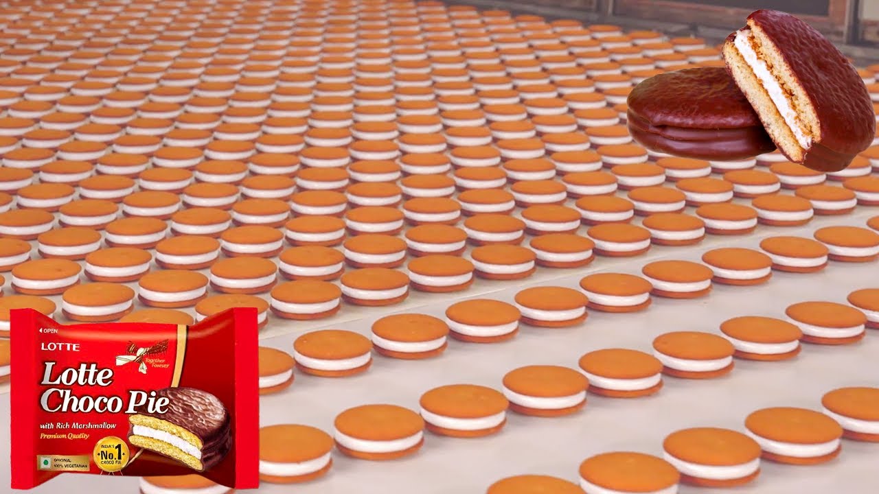 Choco Pie Factory  How Choco Pie Are Made In Modern Food Factory