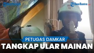 Aksi Kocak Petugas Damkar Bantu Warga Evakuasi Ular di Dalam Rumah, Ternyata Ular Mainan