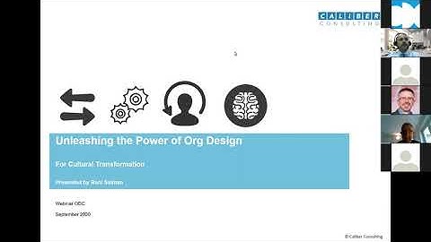 Webinar-“Unleashing the Power of Organizational Design for Cultural Transformation”- Rani Salman