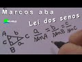 Lei dos senos - Matemática