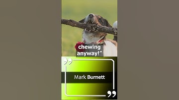 Biting Off More than You Can Chew | Mark Burnett