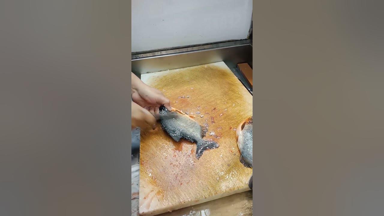 Cara Bersihkan Ikan Bawal Air Tawar #ikan #ikanbakar #ikangoreng #fishsteak #fish