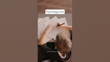 Music Activates Multiple Memory Systems 🎵