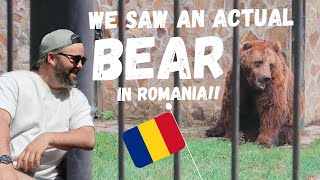 WE SAW AN ACTUAL BEAR IN ROMANIA!