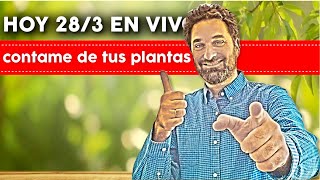 HOY MARTES 28-3-2023  EN VIVO!! RESPONDO TUS CONSULTAS - Horario en la descripción.