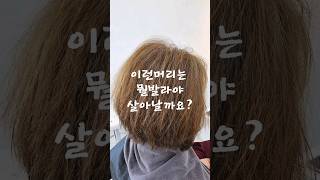 탄머리복구 어디까지가능할까요? 결이살아나면 매직뿐아니라다양한컬도 걸려야합니다 복구전문 울산미용실 공주짱헤어샵 박다리미원장 #복구매직#녹은머리#탄머리복구 #복구염색#복구크리닉