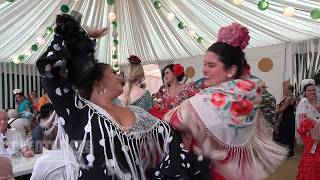 Feria De Sevilla 2026. Caballos, Mulos, Enganches, Caballistas..., Y Baile Por Sevillanas.